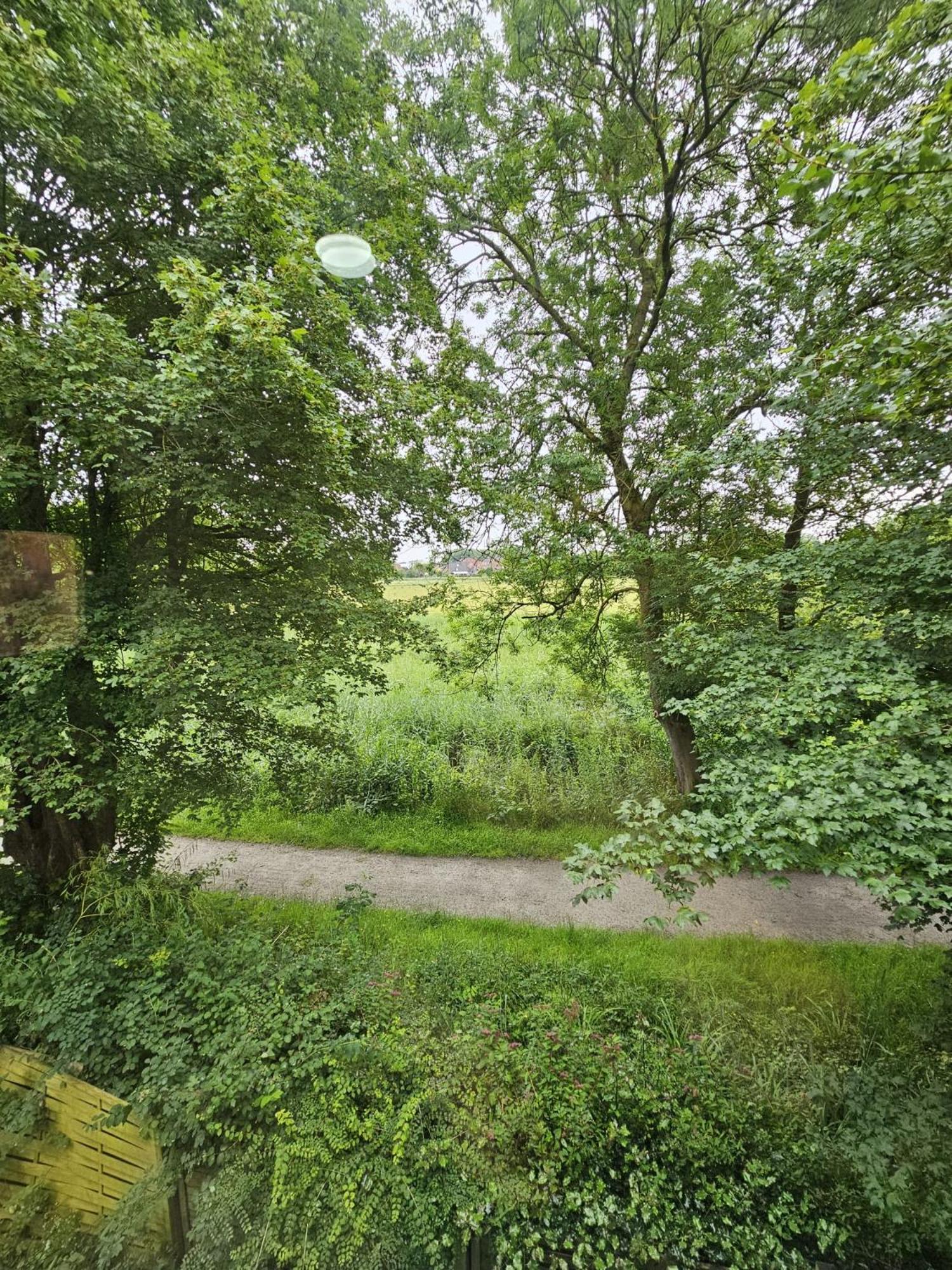 Tautraum Mit Whirlpool Und Gruenem Ausblick Apartment Wilhelmshaven